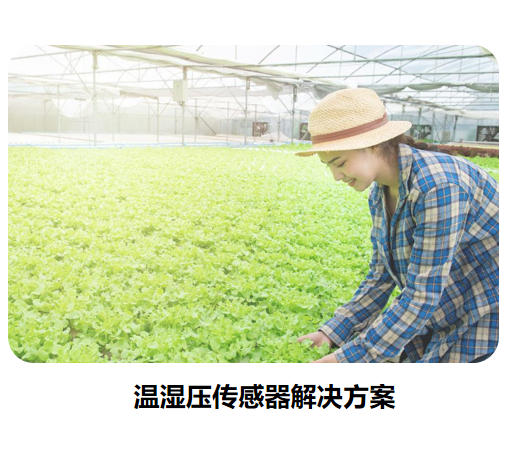 物聯網傳感器-溫濕壓系列解決方案