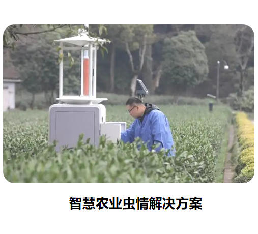 智慧農業蟲情解決方案